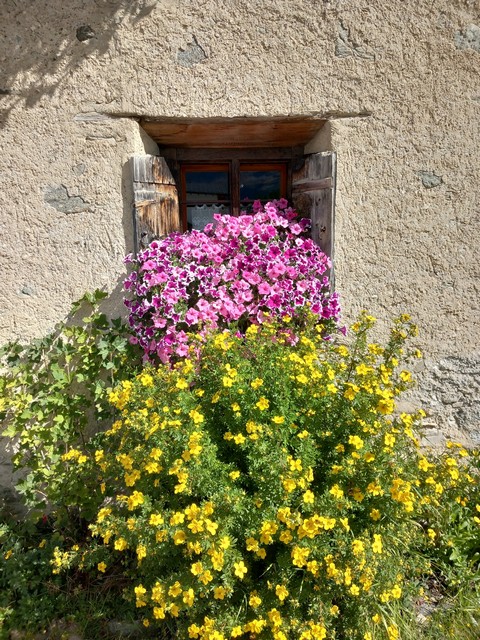 B&B Campaciol
